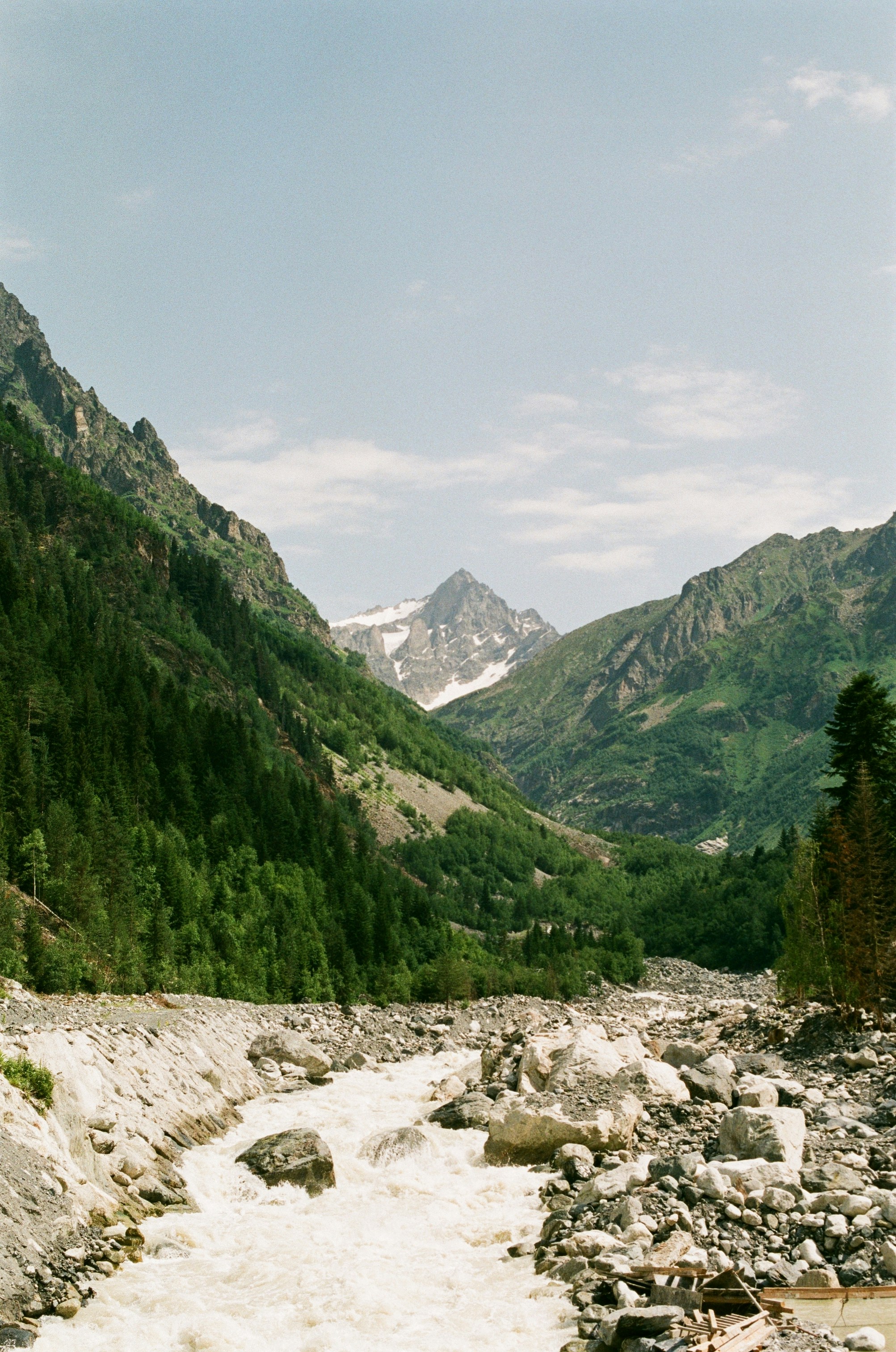 Georgia landscape