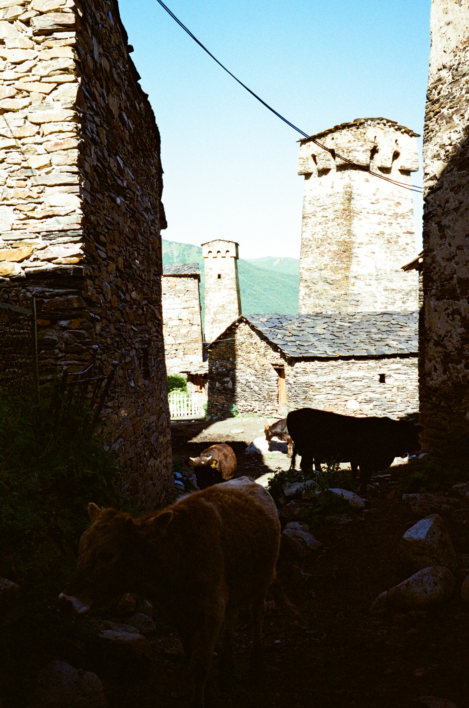 Georgia landscape