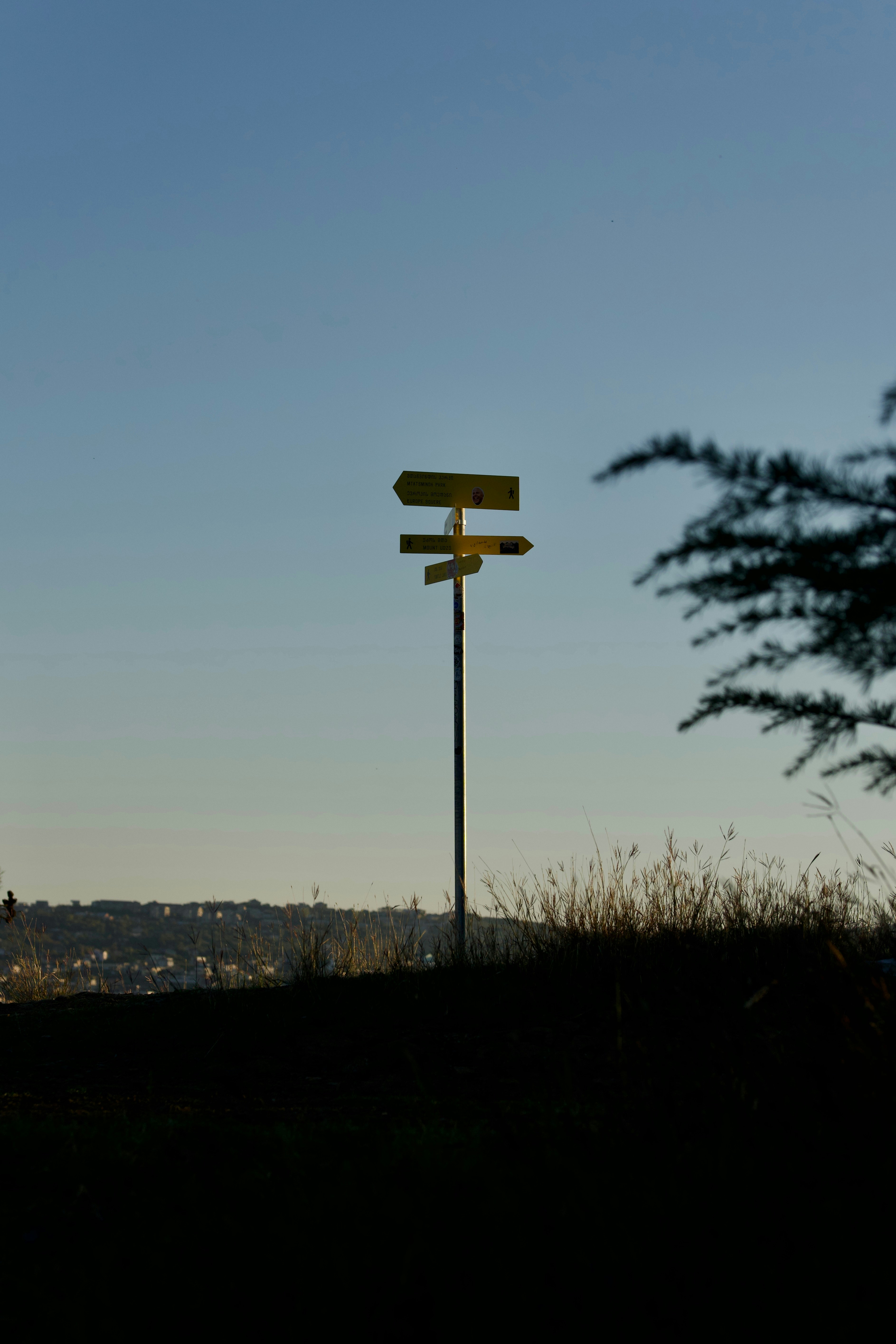 Georgia landscape