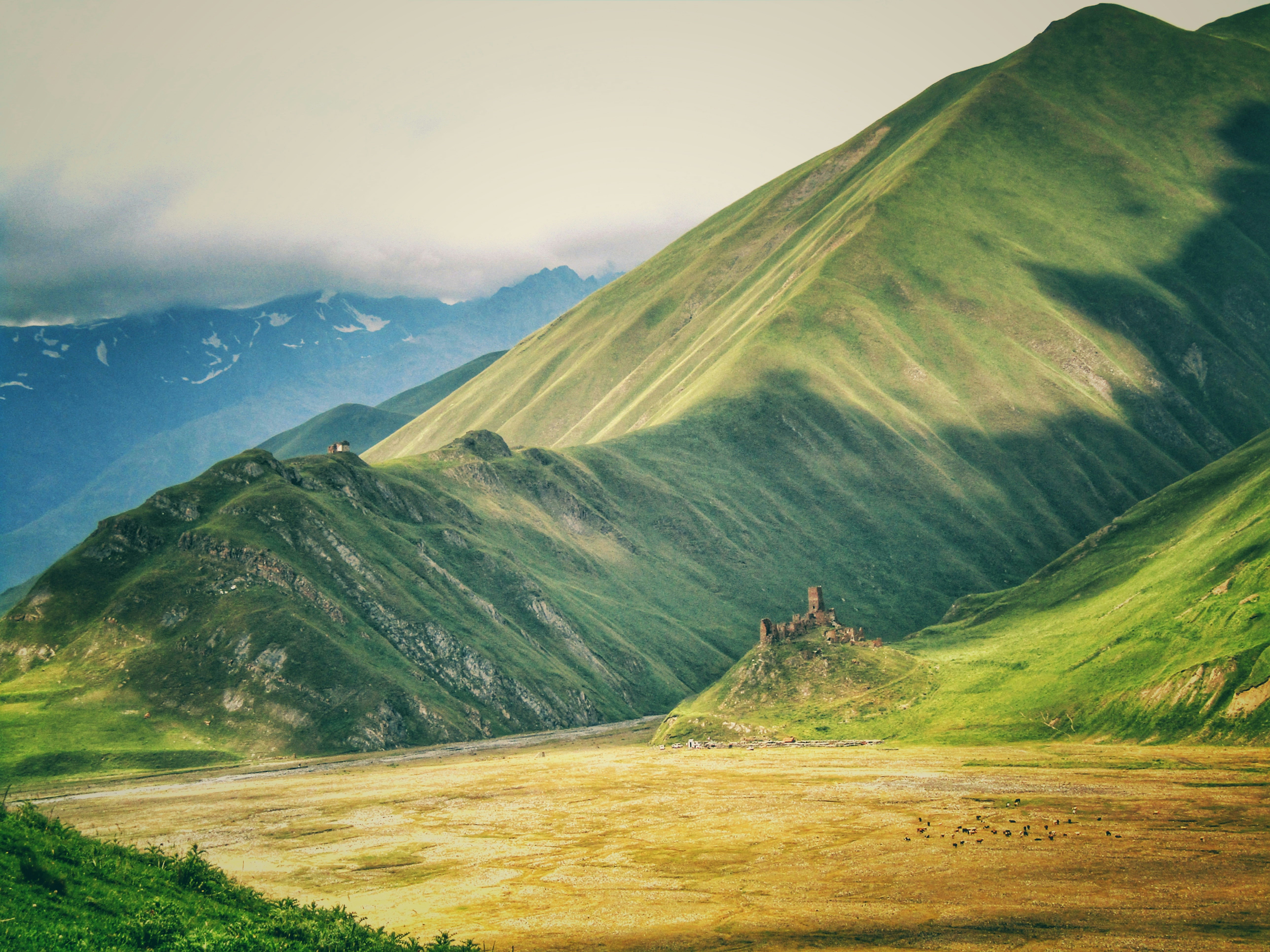 Georgia landscape