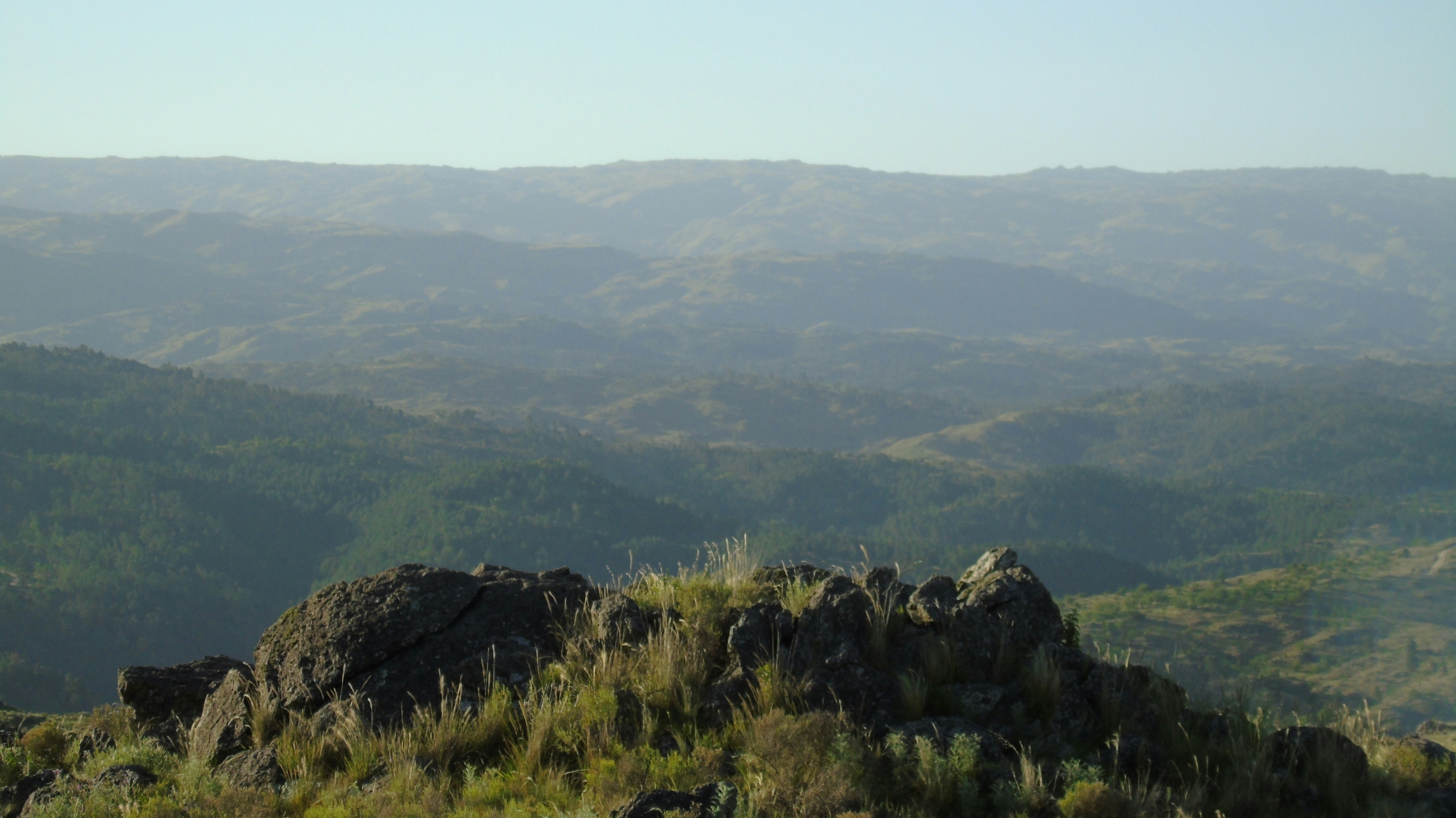 Georgia landscape