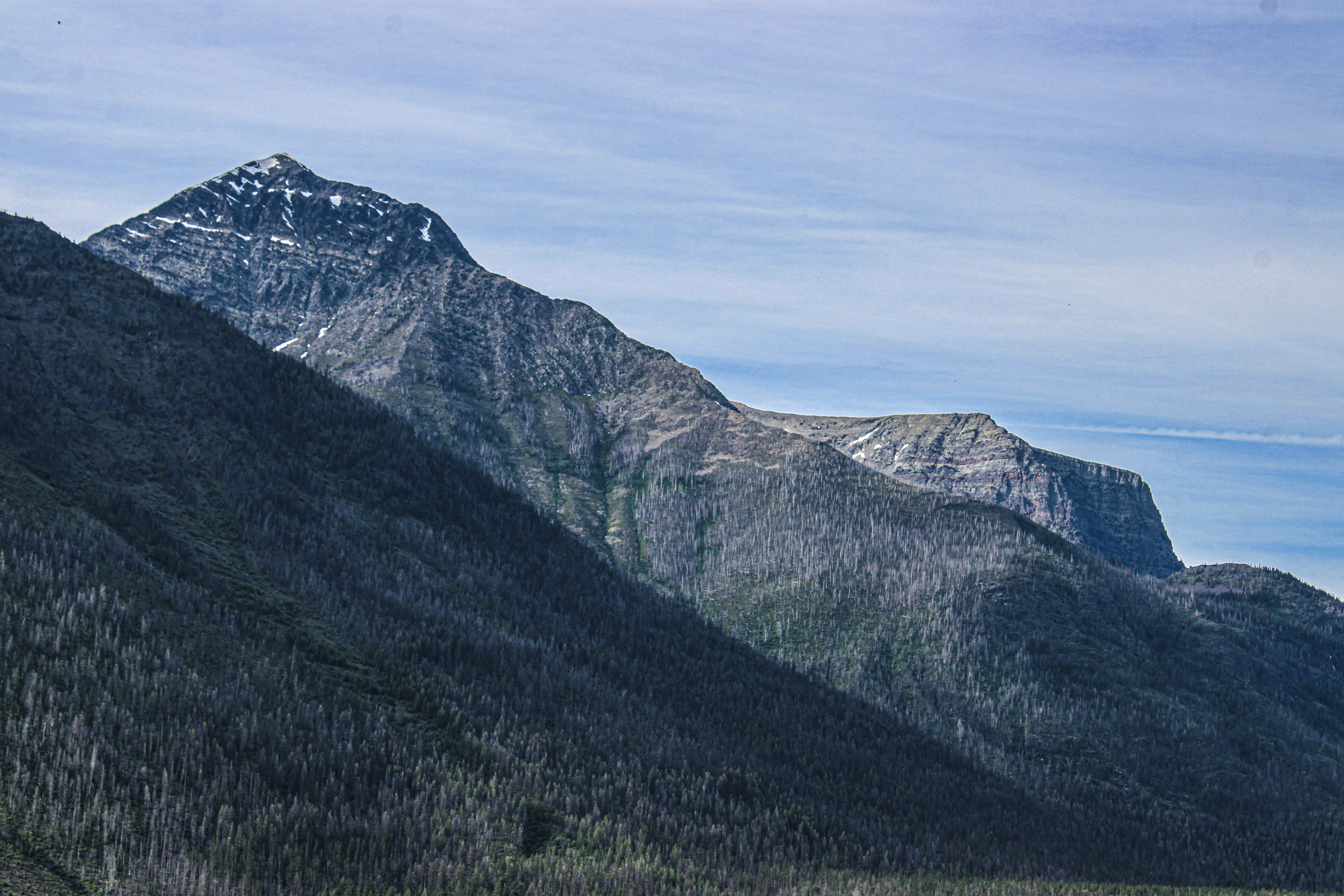 Georgia landscape