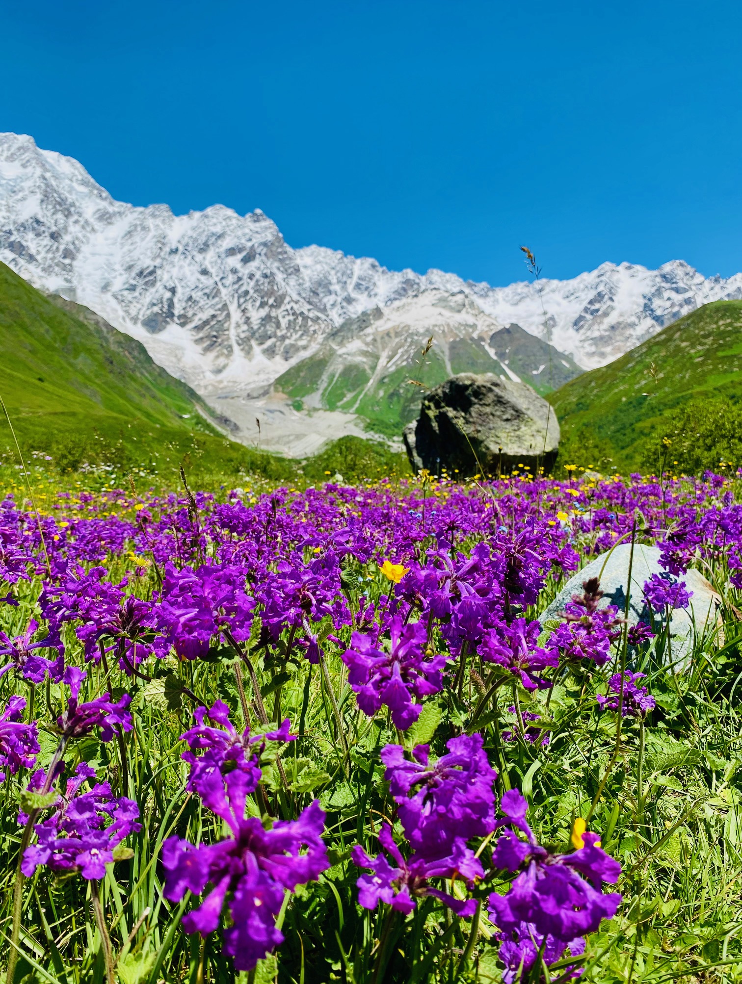 Georgia landscape