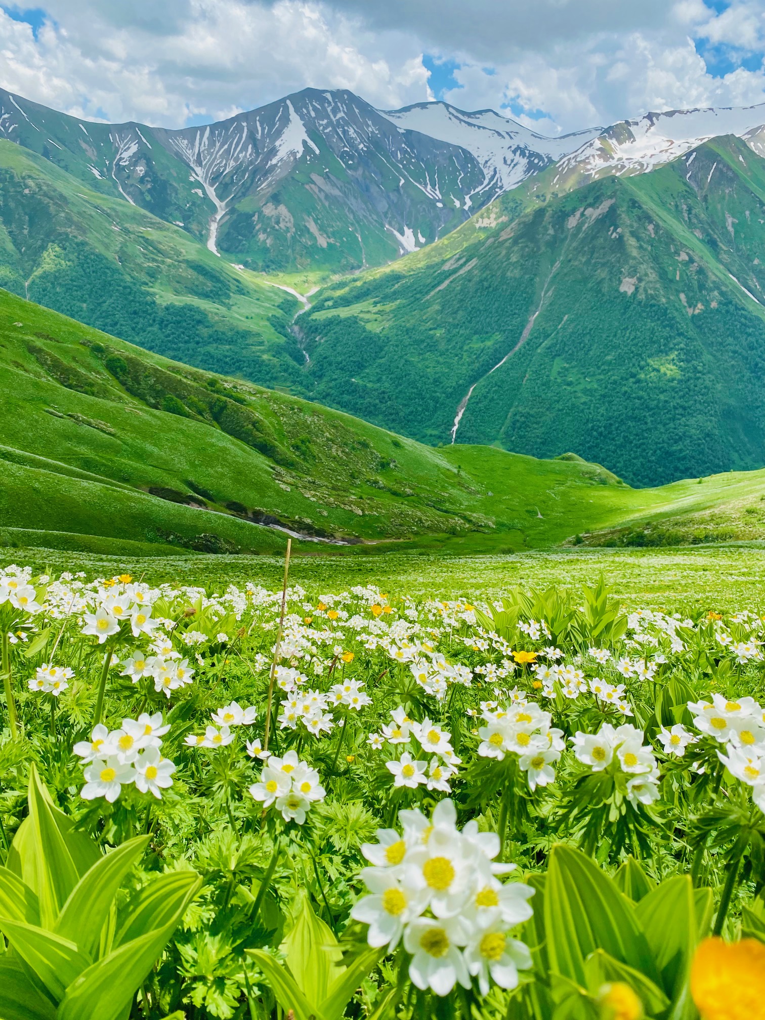 Georgia landscape